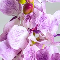 Purple flower, Ø15x76cm