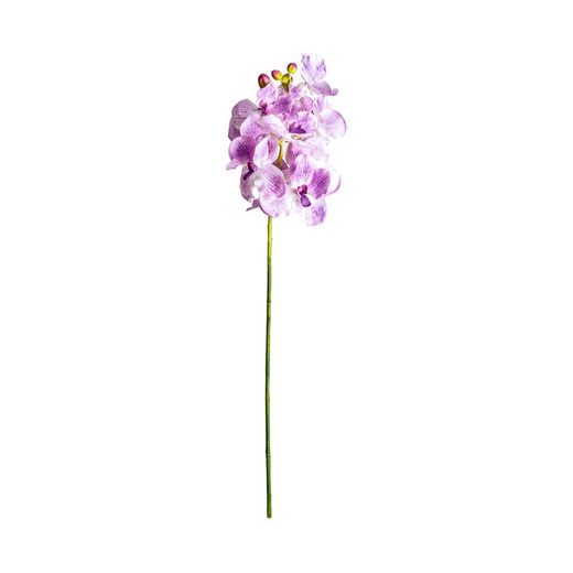 Μωβ λουλούδι, Ø15x76cm