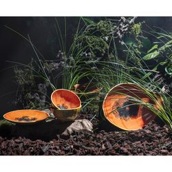 Papaya plate made of orange and yellow earthenware, 35 x 23.5 x 5.4 cm | Tropical Fruits