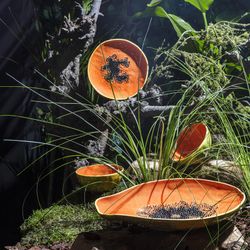Papaya plate made of orange and yellow earthenware, 35 x 23.5 x 5.4 cm | Tropical Fruits