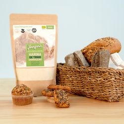Farinha de Trigo Sarraceno ECO Sem Glúten, 500 gr
