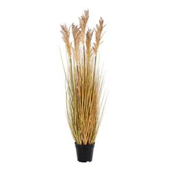 Polyethylene sorghum grass in yellow, 35 x 30 x 110 cm | Sorghum