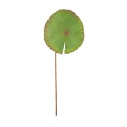 Grönt Lotus Leaf, 33x89 cm