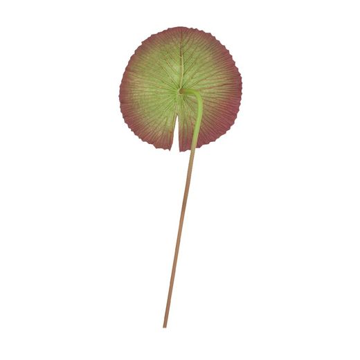 Grönt Lotus Leaf, 33x89 cm