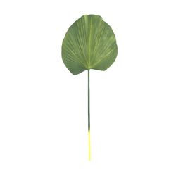 Grönt palmblad, 30x90 cm