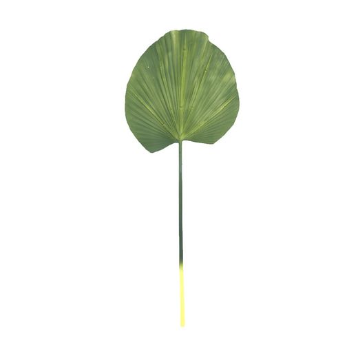 Grönt palmblad, 30x90 cm