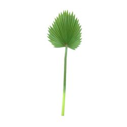 Small Green Palm Leaf Green, 33x95 cm