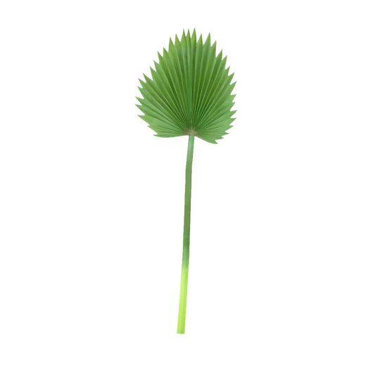 Small Green Palm Leaf Green, 33x95 cm