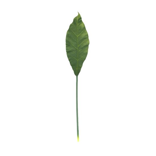 Grönt bananblad, 21x105 cm