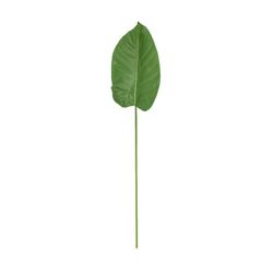 Large Green Leaf, 26x100 cm