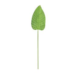 Large Green Leaf, 26x100 cm