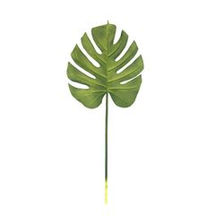 Small Green Monstera Leaf, 30x75 cm