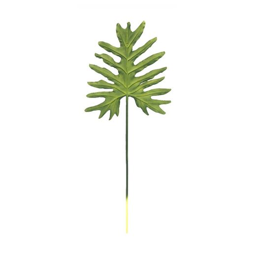 Philodendron Xanadu stort grönt blad, 32x90 cm