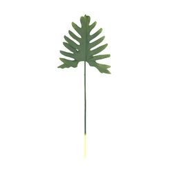 Philodendron Xanadu grönt blad, 25x75 cm