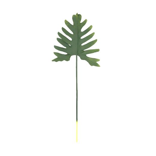 Philodendron Xanadu grönt blad, 25x75 cm