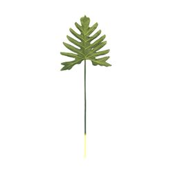 Philodendron Xanadu grönt blad, 25x75 cm