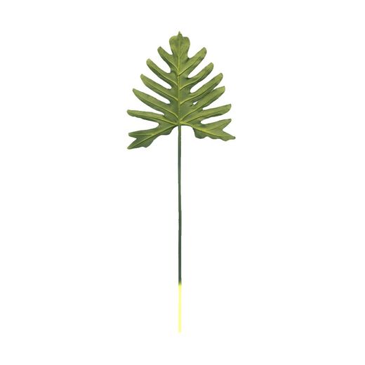 Philodendron Xanadu grönt blad, 25x75 cm