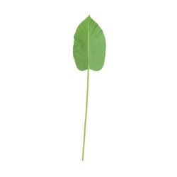 Small Green Leaf Green, 44x117 cm