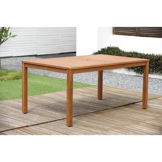 IBIS- Eucalyptus / Aluminum Wood Table 150x90x74 cm