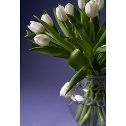 Vaso in vetro trasparente M, Ø 15,1 x 20 cm | avorio