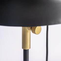 Black/Golden Iron Floor Lamp, Ø30x148cm