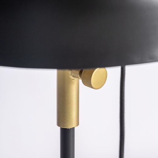 Black/Golden Iron Floor Lamp, Ø30x148cm