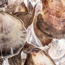 Brązowo-beżowa lampa sufitowa w kształcie muszli, Ø60x90cm