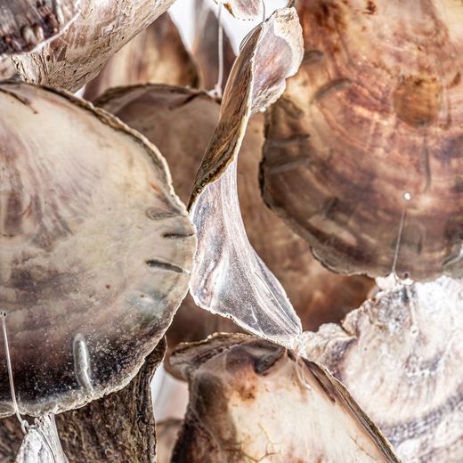 Brązowo-beżowa lampa sufitowa w kształcie muszli, Ø60x90cm