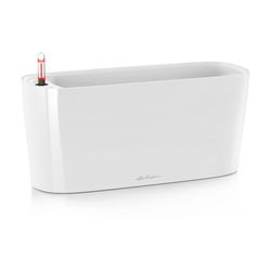 Autologous Pot Owl Delta Premium 20 Complete Kit White