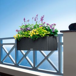 Self-Growing Pot Owl Trend Balcony Balcony Cottage 80 Complete Kit Gray