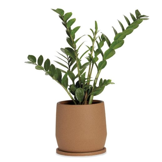 Keramisk Potte L Terracotta, Ø22x22cm