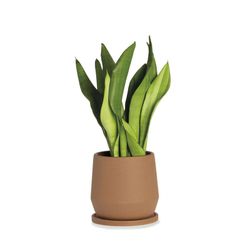 Keramisk Pot S Terracotta, Ø18x18cm