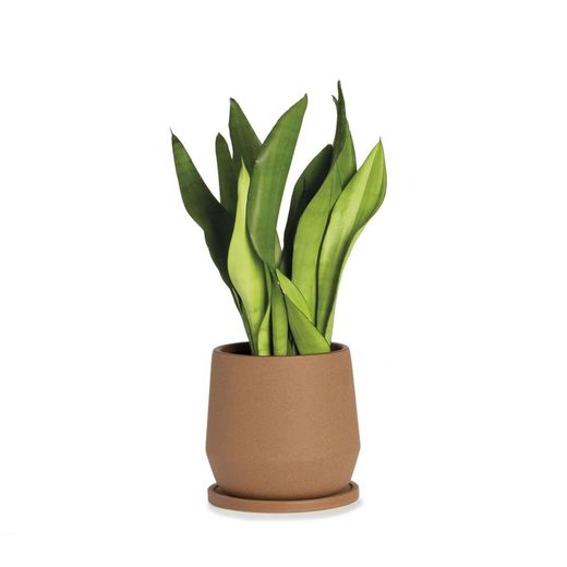 Keramisk Pot S Terracotta, Ø18x18cm