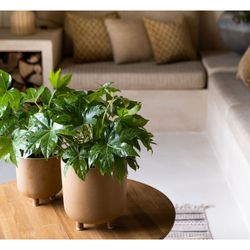 Ceramic Planter L Beige, Ø21,5x23cm