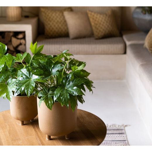 Ceramic Planter L Beige, Ø21,5x23cm