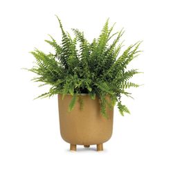 Ceramic Planter L Beige, Ø21,5x23cm