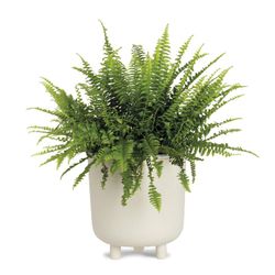 Jardinière en céramique L Blanc, Ø21,5x23cm