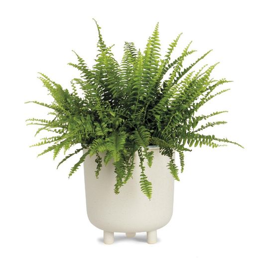 Jardinière en céramique L Blanc, Ø21,5x23cm