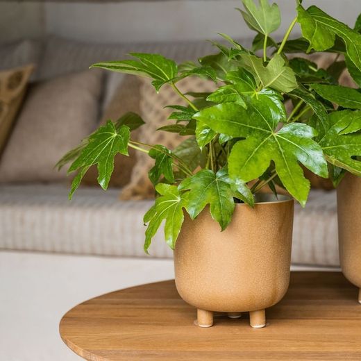 Jardinière en céramique S Beige, Ø18x18,5cm