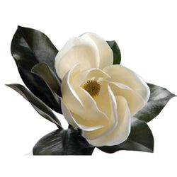 Magnolia Polyester Blanc 45 cm