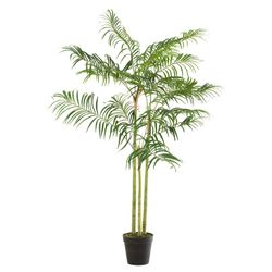 Plast Bambus Palm S Grøn, Ø110x170cm