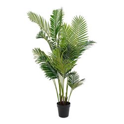 Areca palm tree made of polyethylene in green, 64 x 64 x 175 cm | Areca