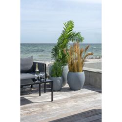 Areca palm tree made of polyethylene in green, 64 x 64 x 175 cm | Areca