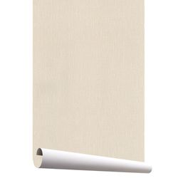Papel de parede bege básico