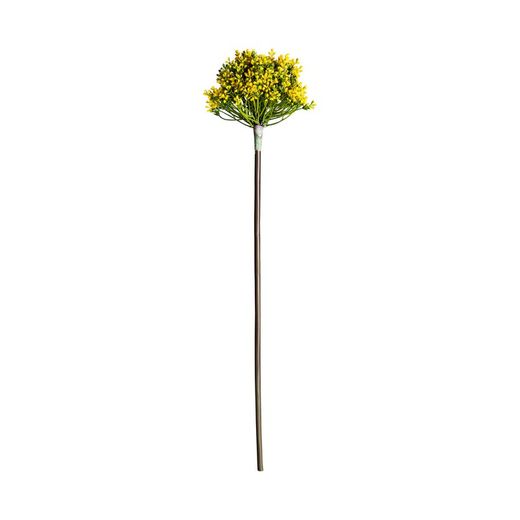 Gele Alliumplant, Ø12x57cm