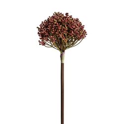Allium violet, Ø12x57cm