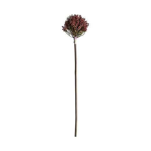 Allium violet, Ø12x57cm