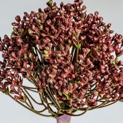 Allium violet, Ø12x57cm