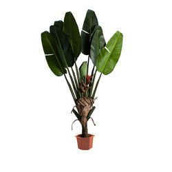 Planta Artificial PARADISE em Plástico Verde, 35x35x190 cm.