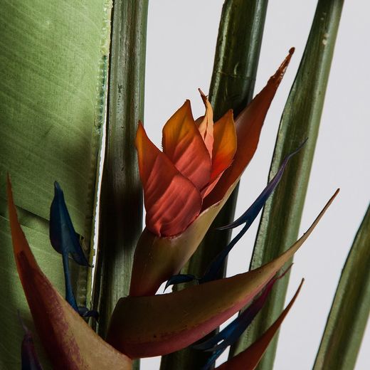 Konstgjord växt PARADIS i grön plast, 35x35x190 cm.